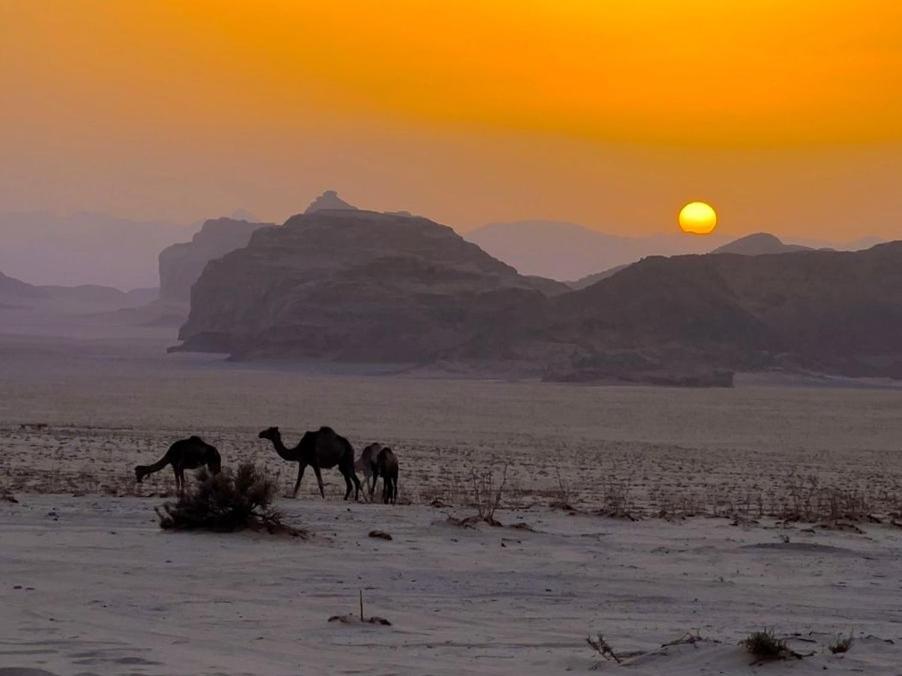 White Desert Camp Wadi Rum Luaran gambar